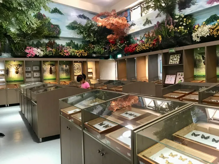 步道起點附近的生態展示中心