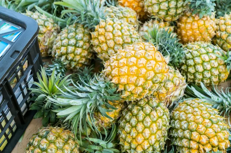 台灣鳳梨品種多樣，農民透過品種多樣化並運用不同產區及搭配產期調節技術，已可全年穩定供貨。此為示意圖。圖/123RF圖庫