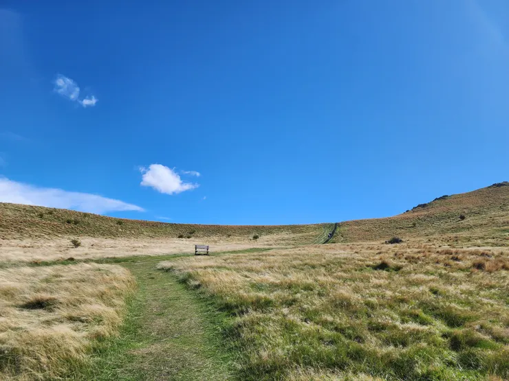 穿過樹林是一片草原