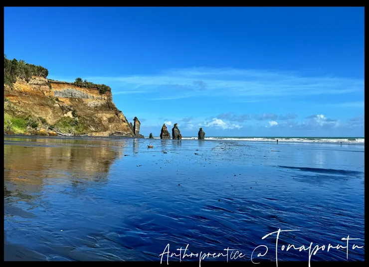 靠近New Plymouth一小時多車程的三姊妹岩石