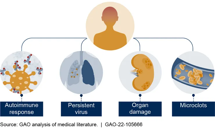 Possible causes of long COVID: public domain picture source: https://www.gao.gov/products/gao-22-105666 Author: The U.S. Government Accountability Office (GAO)