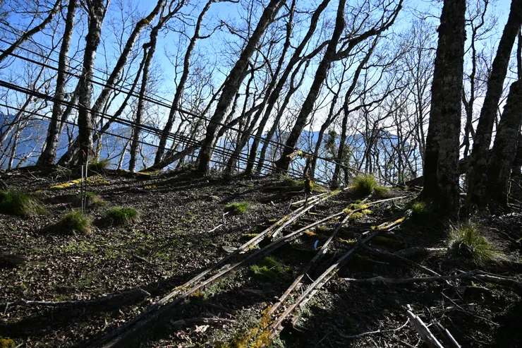 廢棄鐵路及索道