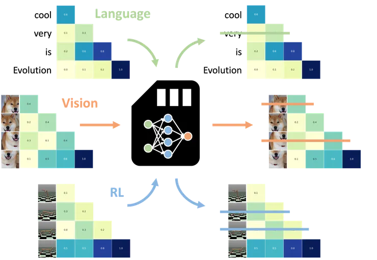 經過語言訓練的完全進化的 NAMM 可以零樣本轉移到其他 Transformer，甚至跨輸入模式和任務域！