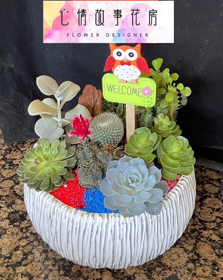 #心情故事花房 #台南花店 #台南網路花店 #台南推薦花店 #優良花店 #台南蘭花 #台南花店推薦