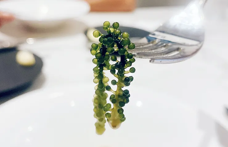 內湖約會餐廳【Fogant】法式餐廳-內湖美食餐廳推薦