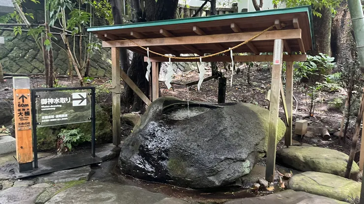 應該類似台灣的發財水。