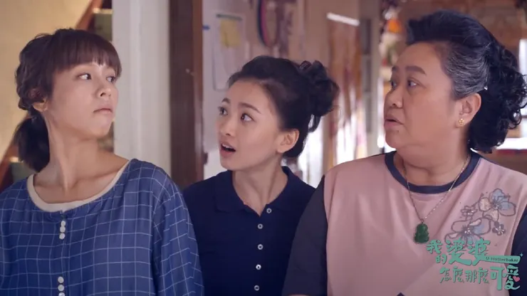 ⟨我的婆婆怎麼那麼可愛⟩官方臉書