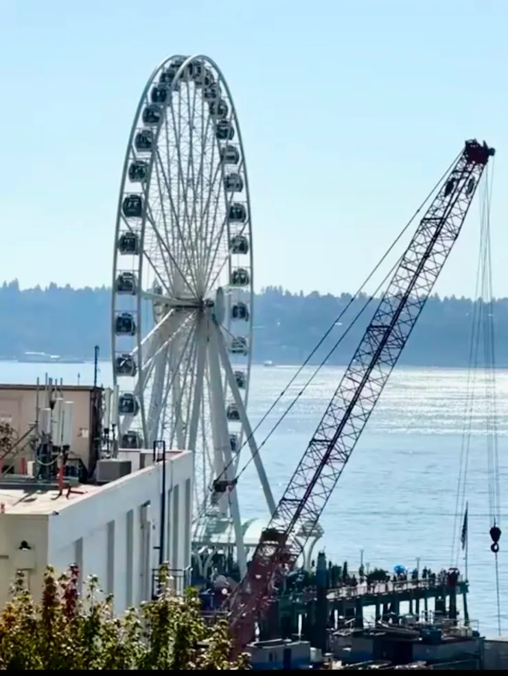 放大細看西雅圖摩天輪的樣貌。（圖 by Vina)