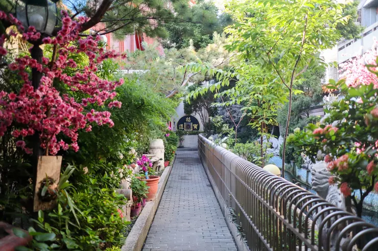 園內綠藝柍然（圖片截圖於網路）