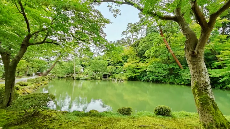 兼六園的美景