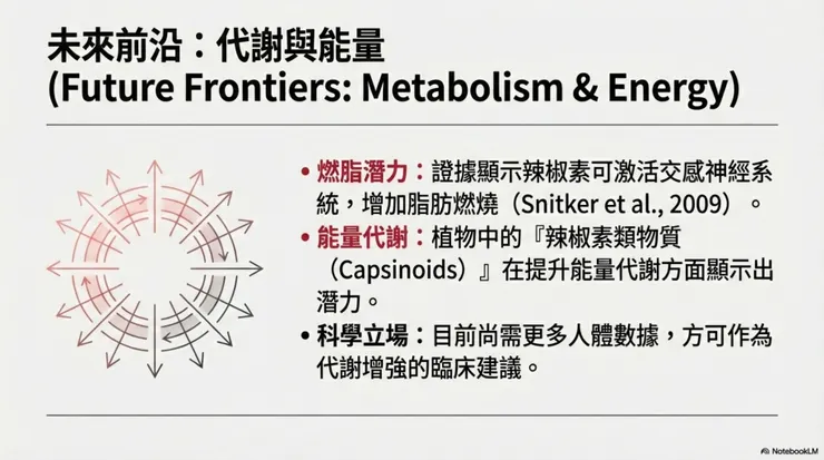 燃脂與代謝提升?