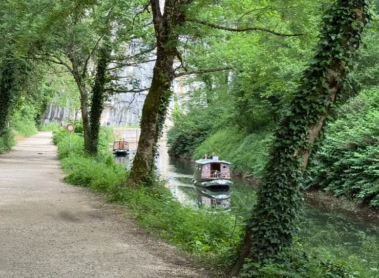 幸運補捉到了這麼悠閒的畫面