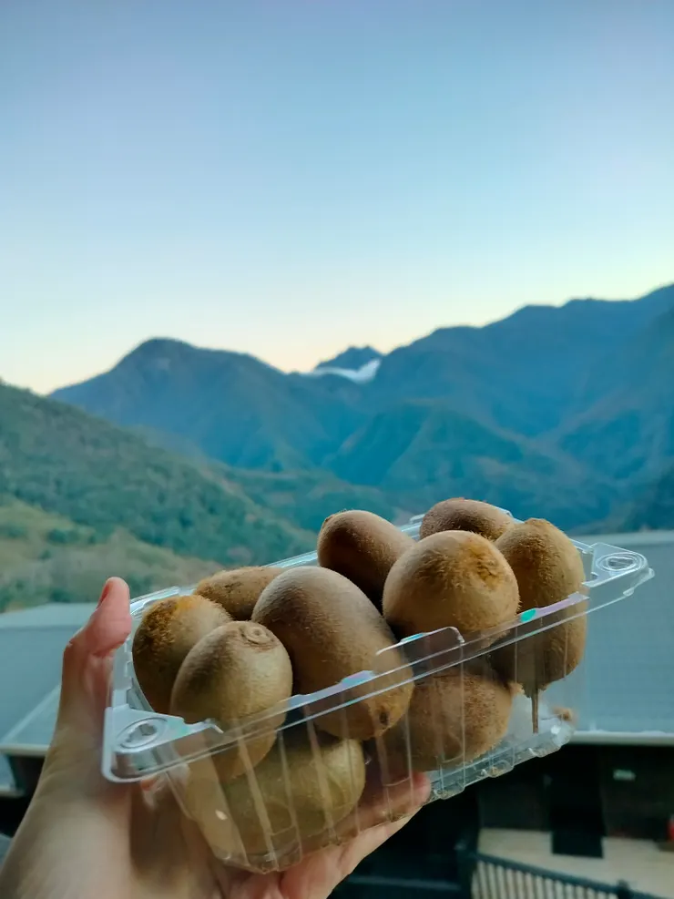 一盒滿滿的獼猴桃賣$100元