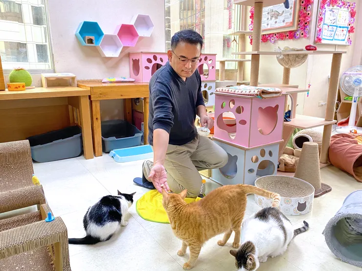 流浪貓關懷協會-簡會長