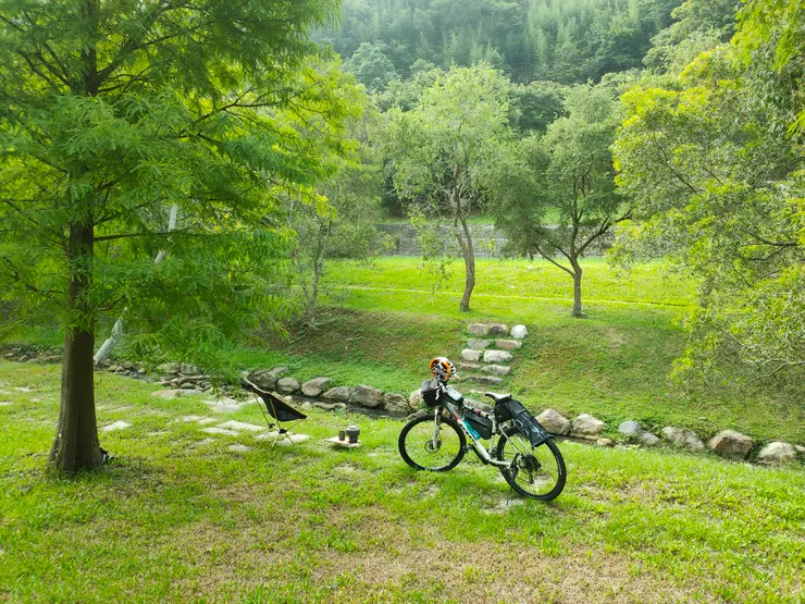 嫩綠的落雨松看起來很舒服