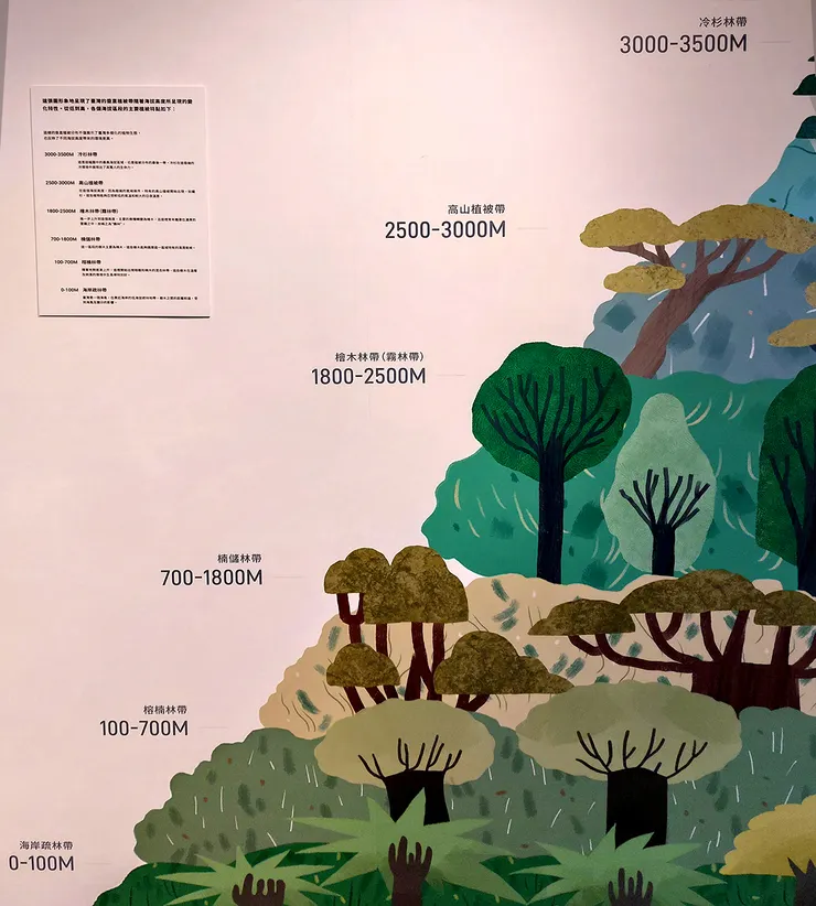 ▲台中「大雪山國家森林遊樂區」/圖片來源：Betty's Jump Diary