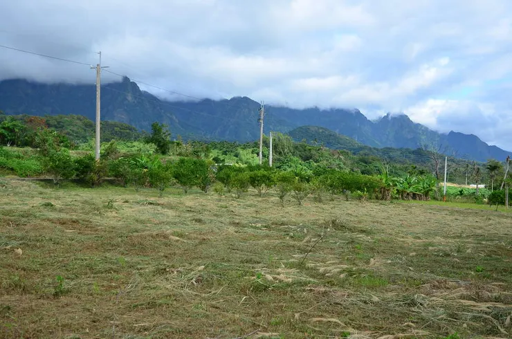 還有美麗的山景（海岸山脈）