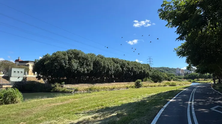 拍攝於2025年10月10日，雙溪河濱公園