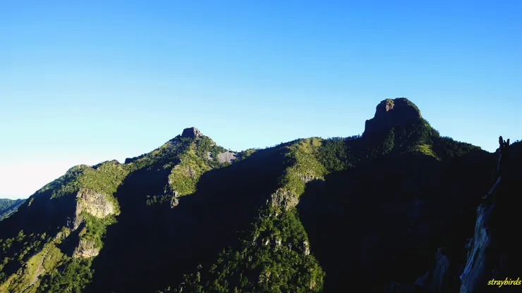 終於走出森林，上到稜線，再次看見大小霸。