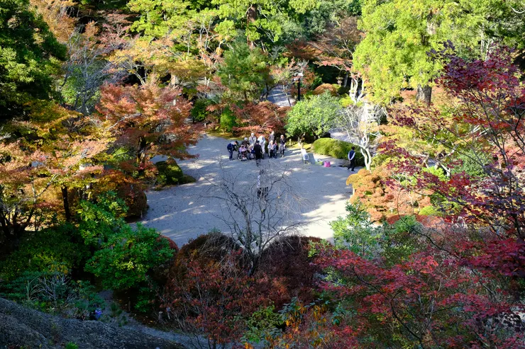 長者在集體曬太陽?觀賞美景?旅遊?抑或是舉辦活動?