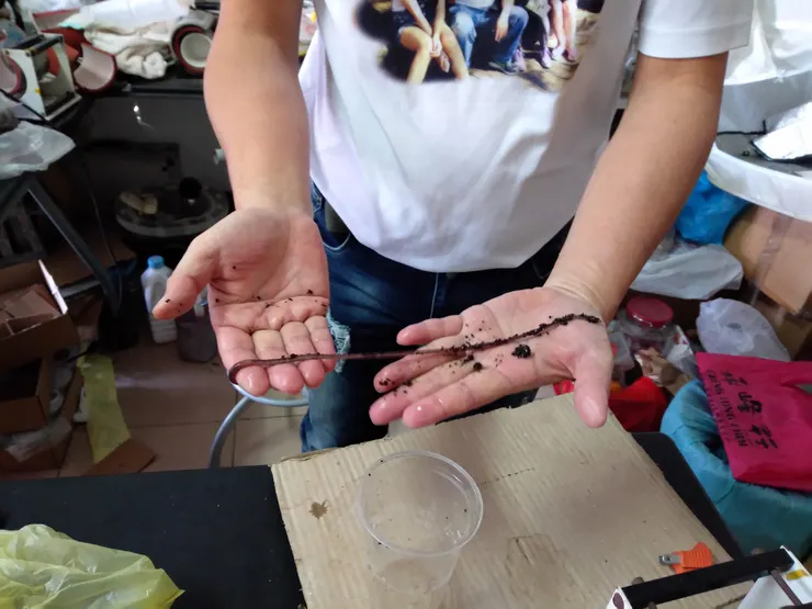 環保大使長又粗~蚯蚓