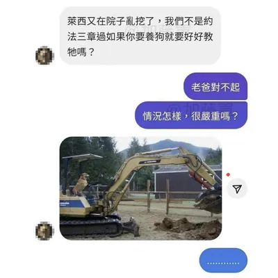 萊西挖掘等級好高