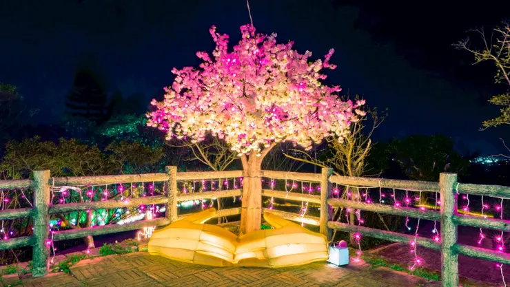 重點作品「守護之手」以大型花燈塑造出一雙張開的手，承接著粉櫻樹，並結合AR互動體驗，民眾可看見櫻花在夜空中飄落的美景。圖/蘆竹區公所提供