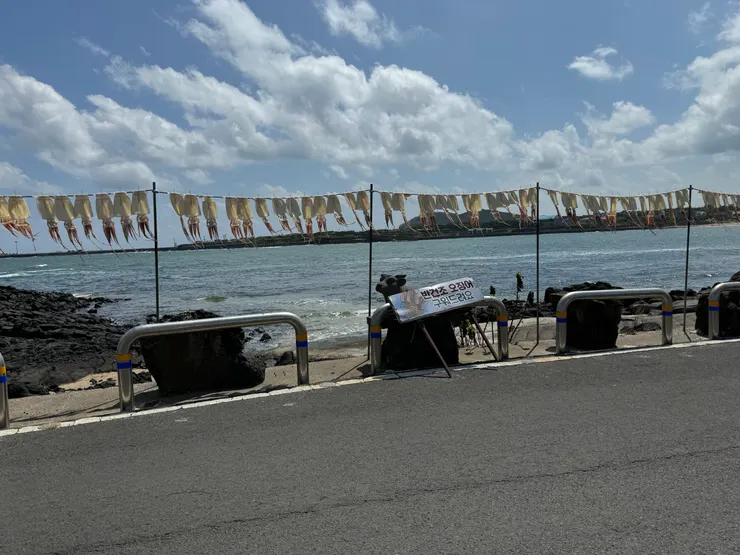 島上有曬魷魚 是不是想到海邊恰恰呢