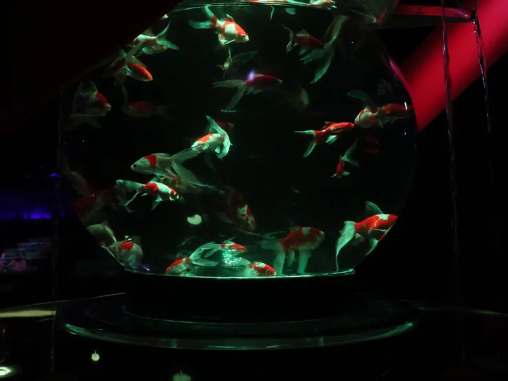 全部都會隨著音樂變色