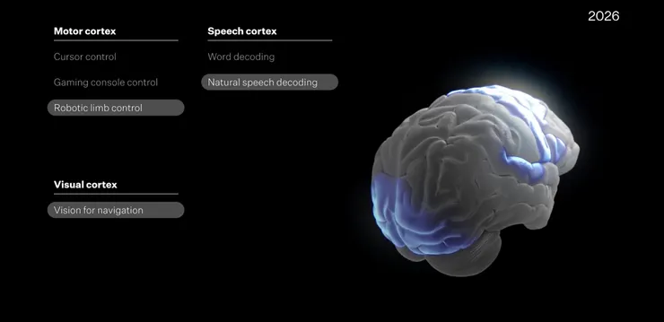 2026 目標：視覺皮質層