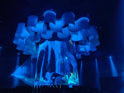 為什麼現在極少見到玉蘭花？