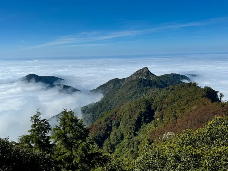被埋在雲海裡的山體有如一座孤島