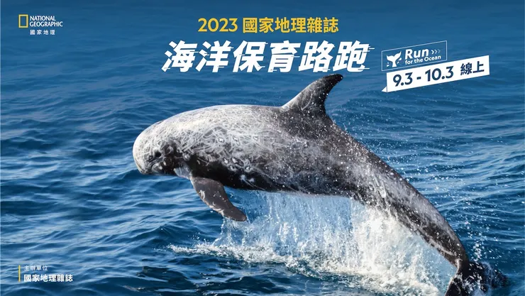 今年選定「瑞氏海豚(又稱花紋海豚)」為主題動物,於宜蘭壯圍沙丘生態園區舉辦海洋保育路跑,並攜手東北角暨宜蘭風景管理處、黑潮海洋文教基金會、綠色和平基金會以及其他海洋保育單位,關注鯨豚混獲、海洋化學污染、友善賞鯨豚等議題。現場透過路跑、問答遊戲、攤位互動,宣導合理利用海洋資源與建立永續發展的能力。