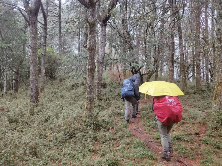 我們打起傘，在雨中緩步爬升。