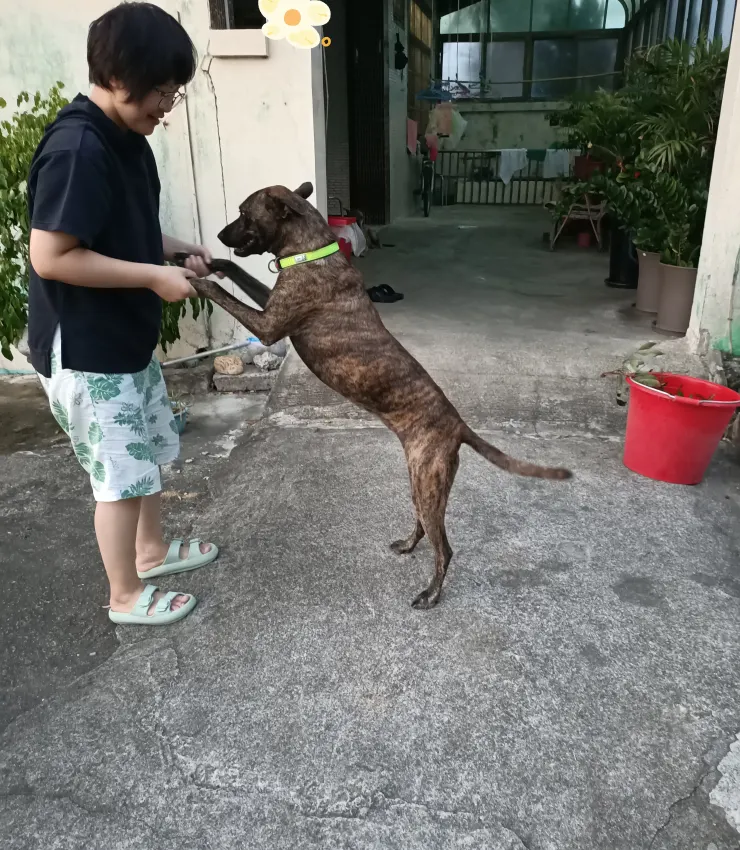 最後都吃到高興跳舞🤣