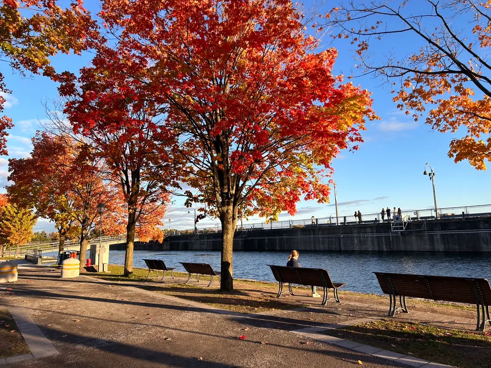 流浪漢凱西｜流浪日記