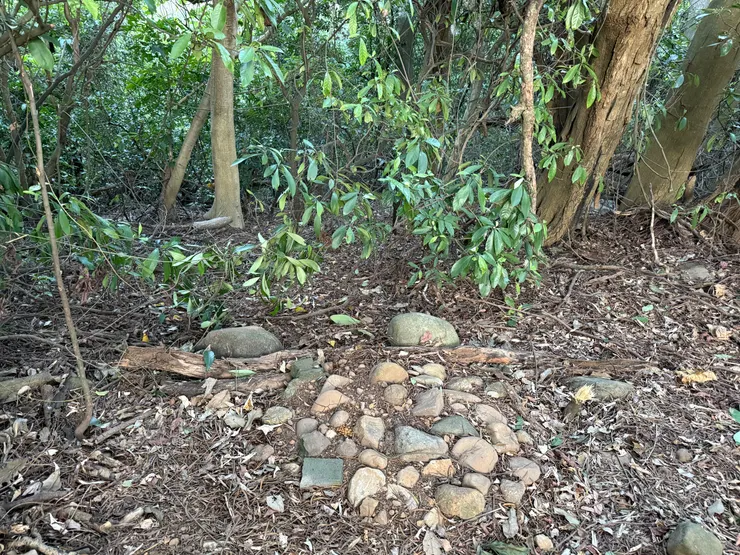 2025/10/12 探望圓圓