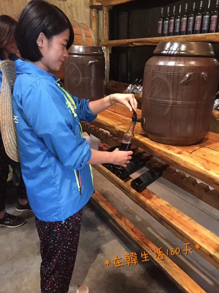 製作屬於自己的葡萄酒