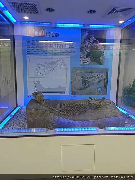 水崛頭(馬遺骸)