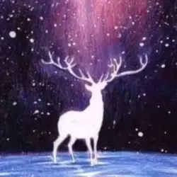 芬多精療癒師的沙龍