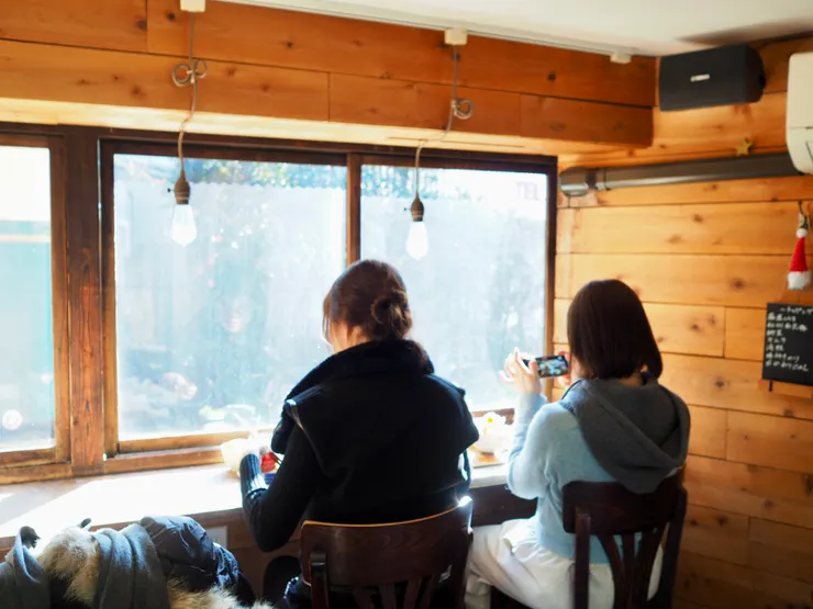 靠窗鐵道席，真的可以邊吃飯邊跟電車上的人打招呼喔