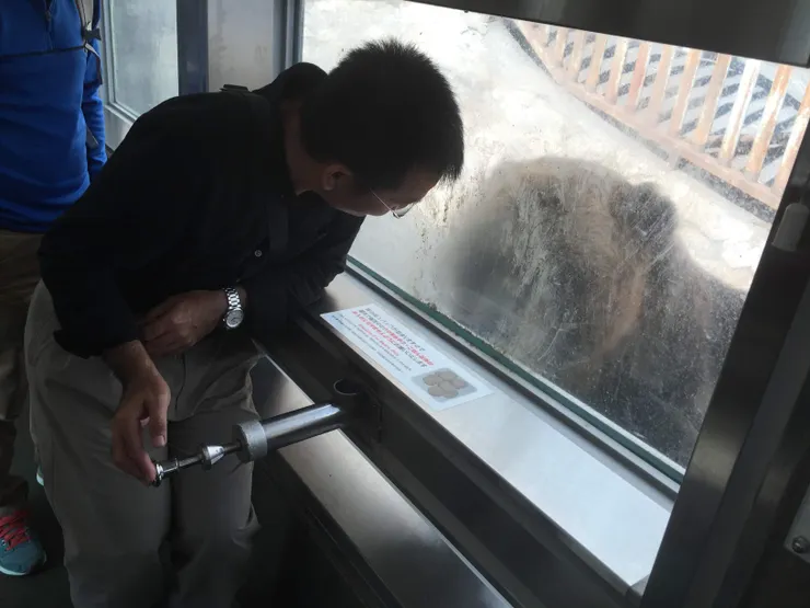 文在哥餵食棕熊，近距離觀察棕熊，體驗被棕熊襲擊的臨場感