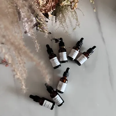 DreamLab 服務項目