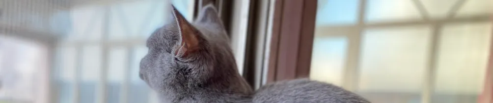 月亮天蠍女孩的異想世界