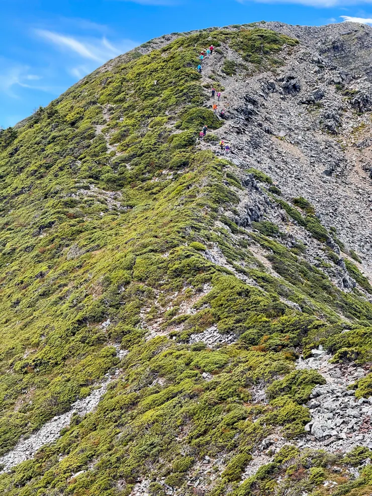 咦！有長長的大隊朝我們的方向而來