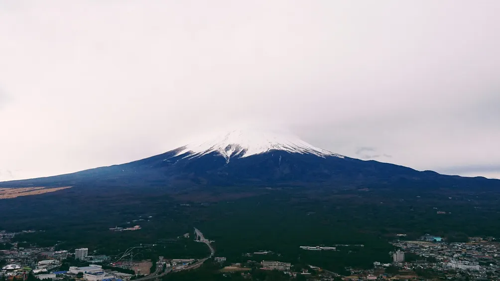 Amber 自由的世界