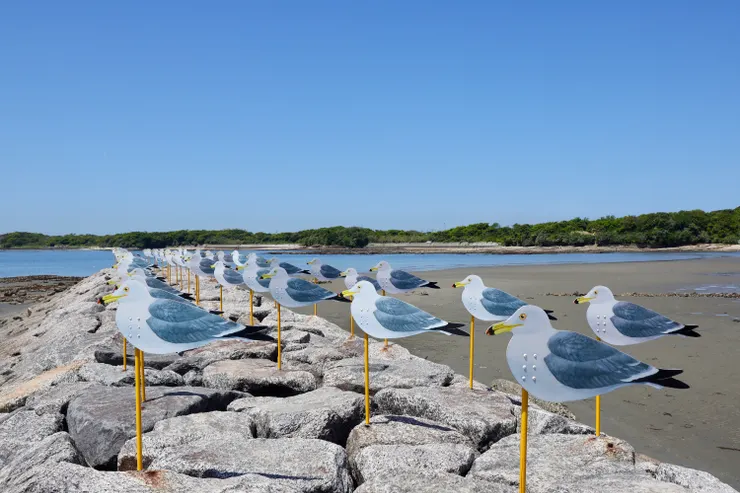 海鷗的停車場(黃色方框16)