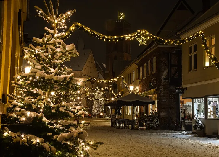 Thomas Dahlstrøm Nielsen, CC BY-SA 4.0, via Wikimedia Commons