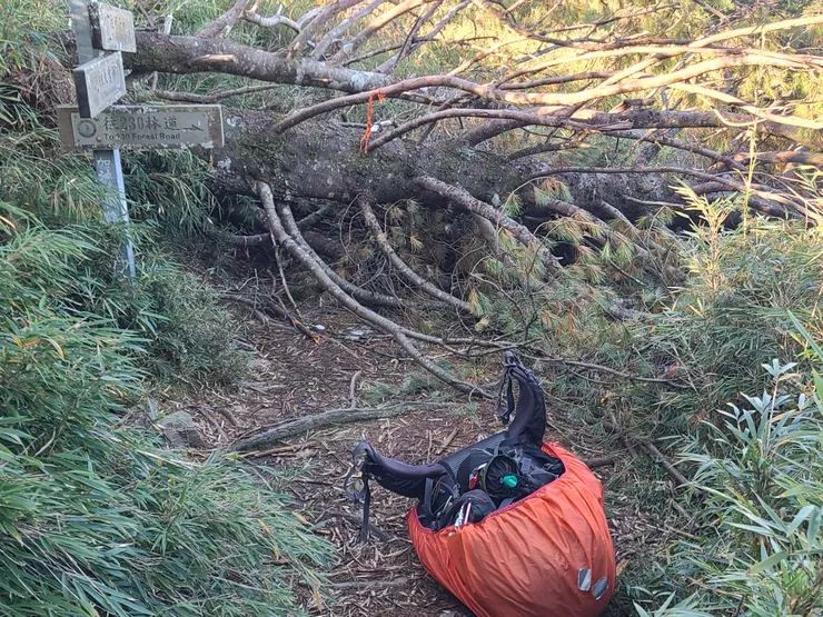 倒木方向過去，是往可汗山的路 這破營地，我不會想再睡