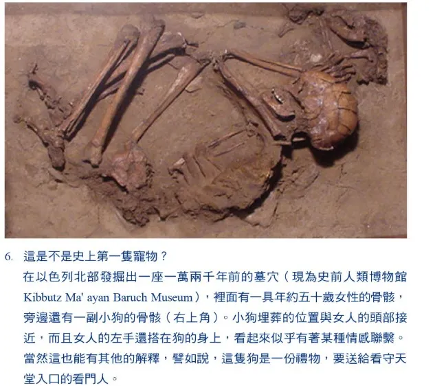 在飛機上看到這頁時,我鼻頭一酸,說真的,當時的我只想快點回台灣抱狗。